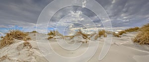 Young coastal Dune landscape