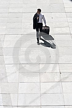 Young Corporate Man With Luggage