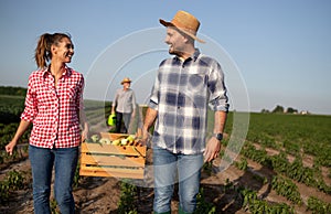 Young couple carrying wooden crate with vegetables together and old farmer walking behind