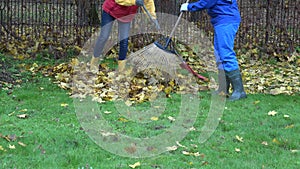 Young couple in colorful clothes rake autumn leaves in garden. 4K