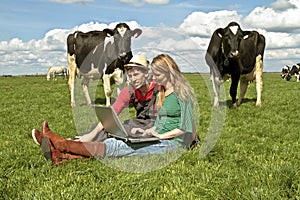 Young couple between the cows