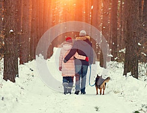 Joven el perro en Bosque 