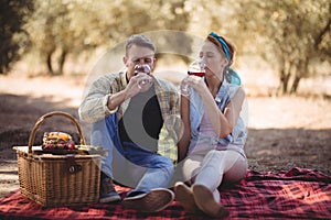 Young couple drinking red wine while sitting at farm