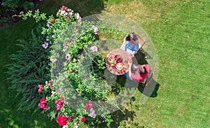 Young couple enjoying food and drinks in beautiful roses garden on romantic date, aerial top view from above of man and woman