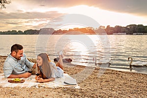 Young couple enjoying a picnic at the beach. Lying on the picnic blanket. White swans swimming the background