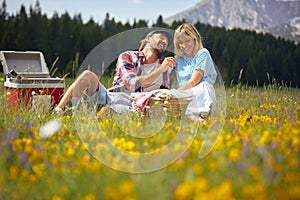 A young couple enjoying in picnic on the meadow in the nature. Relationship, love, nature, activity