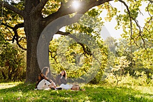 Young couple enjoying picnic time while sitting under the tree in park