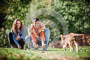 Young couple are enjoying with street dogs