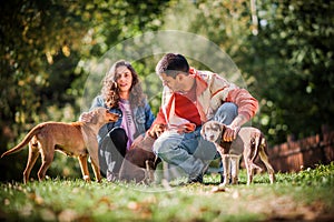 Young couple are enjoying with street dogs