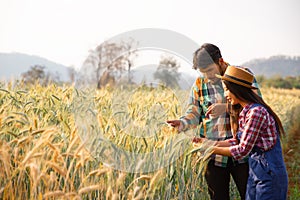 Young couple farmers analyse planted wheat