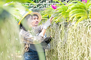 Young couple farmers checking their orchid gardening farm
