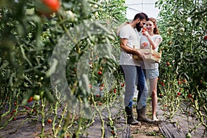 Young couple of farmers working in greenhouse