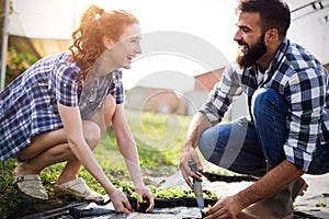 Young couple of farmers working in greenhouse