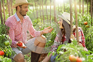 Young couple farming vegetables