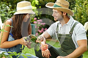 Young couple gardening