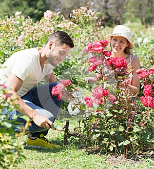 Young couple gardening together