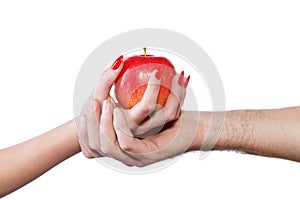 Young couple hands holding apple isolated