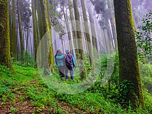 Young couple hiker at pine tree forest with white defused fog background at morning