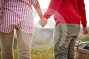 A young couple holding by hands and going to have a picnic in the nature. Love, relationship, together, nature