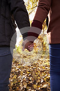 Young Couple Holding Hands On Walk In Autumn Woodland