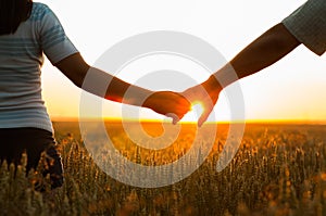 Young couple holding hands in the wheat field