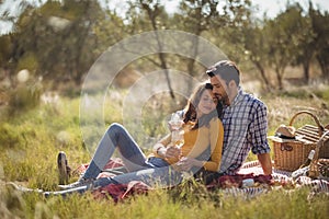 Young couple holding wineglasses while relaxing on picnic blanket