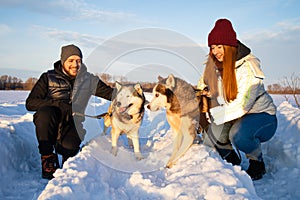 Young Couple With A Husky Dog Walking In Winter Park At Sunset