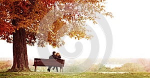 Young Couple Kissing on a Bench under the Huge Chestnut .