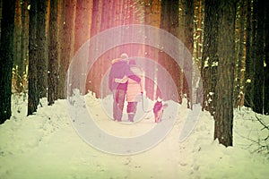 Young couple in love with dog walking in winter forest