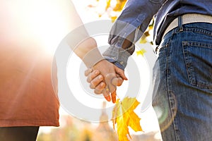 Young couple in love walking in the autumn park holding hands looking in the sunset