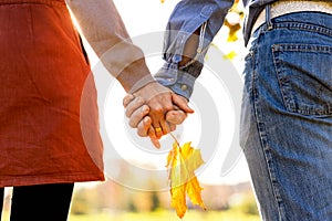 Young couple in love walking in the autumn park holding hands looking in the sunset