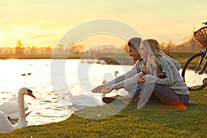 Young couple near lake with swans. Perfect place for picnic