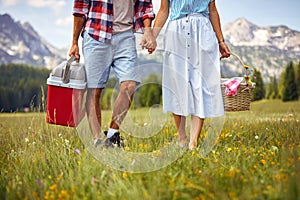 Young couple with picnic baskets holding hands and walking on green meadow. Picnic time, couple in nature.  Fun, togetherness,