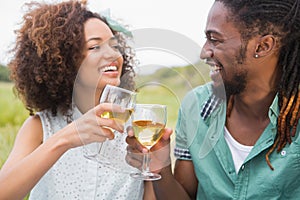 Young couple on a picnic drinking wine