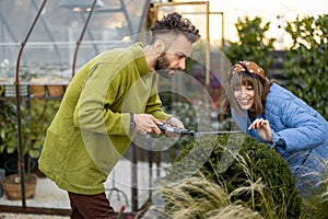 Young couple prune a round bush with scissors in garden