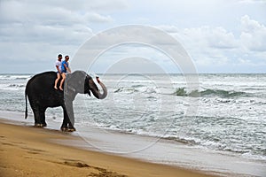 Young couple is riding on an elephant with trunk up on the background of a tropical ocean beach