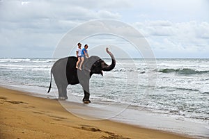 Young couple is riding on an elephant with trunk up on the background of a tropical ocean beach
