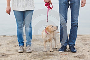 Young couple running along the beach with their dog.