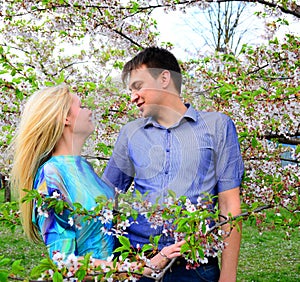 Young couple in the sakura's garden in park