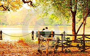 Young Couple sitting in an autumn park bench in Lakeshore. Falling in love in Maple leaf garden. Relaxation and romantic activity