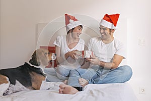 young couple sitting on bed with christmas santa hats having fun with their dog. Presents on bed. Home, indoors. Xmas concept