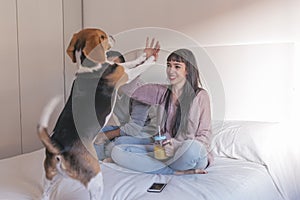 young couple sitting on bed, having fun and playing with their cute beagle dog. Breakfast time. Home, indoors