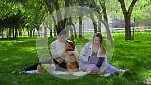 A young couple is sitting in the park on a picnic and stroking their pet dogs on the head. The girl is looking at her