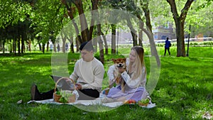 A young couple is sitting in the park on a picnic and stroking their pet dogs on the head. The guy is looking at his