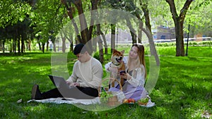 A young couple is sitting in the park on a picnic and stroking their pet dogs on the head. The guy looks at his laptop