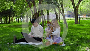 A young couple is sitting in the park on a picnic and stroking their pet dogs on the head. The guy looks at his laptop