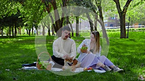 A young couple is sitting in the park on a picnic and stroking their pet dogs on the head. Picnic in nature