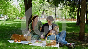 A young couple is sitting in the park on a picnic and stroking their pet dogs on the head. Picnic in nature