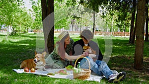 A young couple is sitting in the park on a picnic and stroking their pet dogs on the head. Picnic in nature
