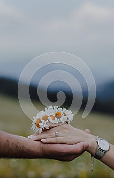 Young couple standing in a lush, green meadow, hands clasped in an intimate embrace.